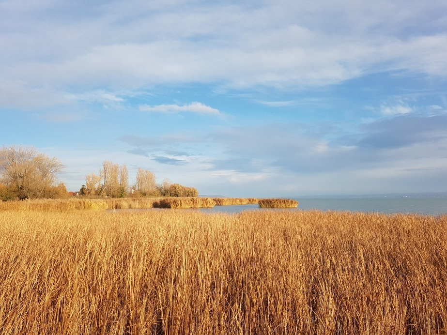 Balatonakali