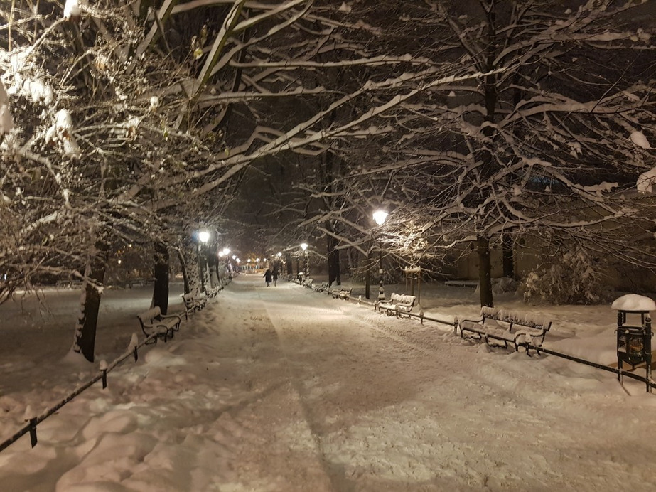 Krakkó