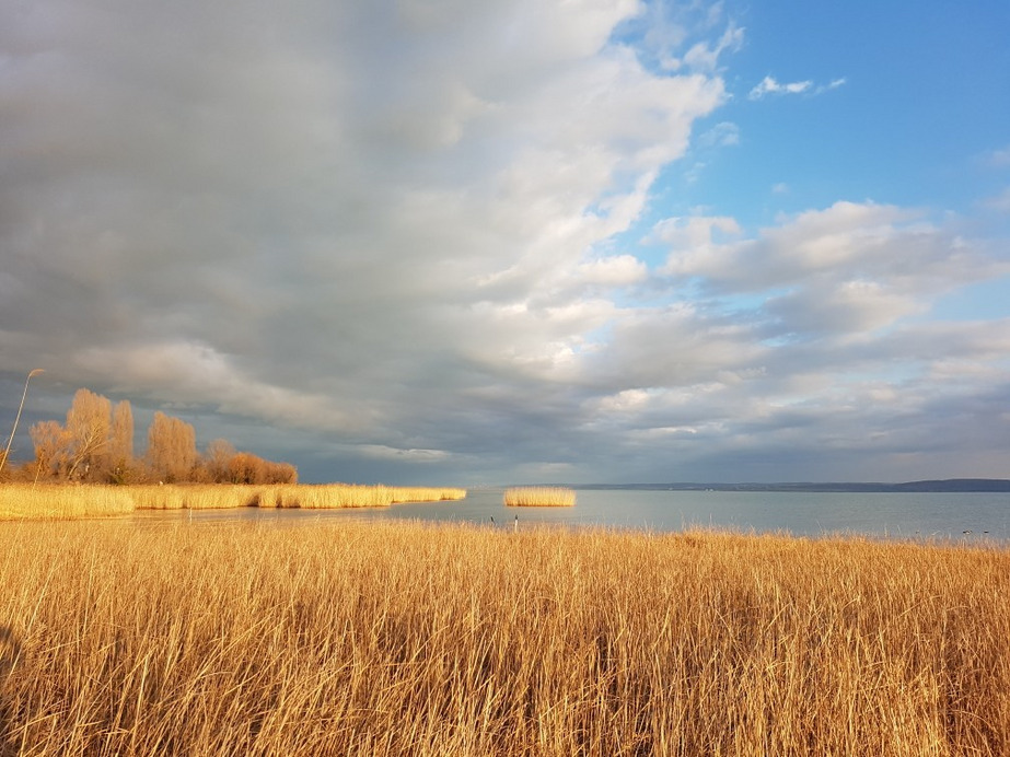 Balatonszárszó