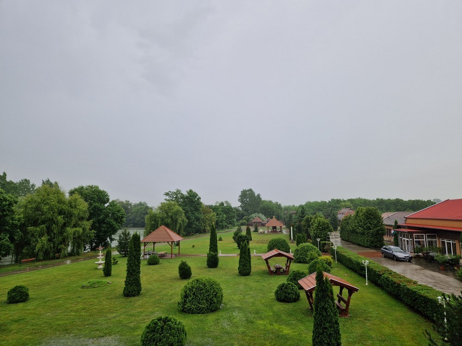 Kóka