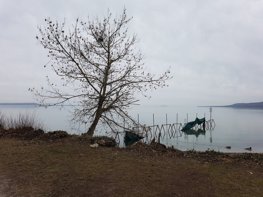Balatonakali