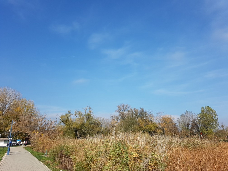 Balatonakali