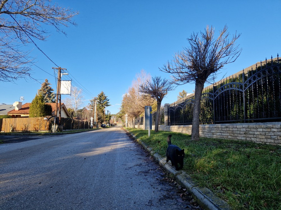Balatonakali