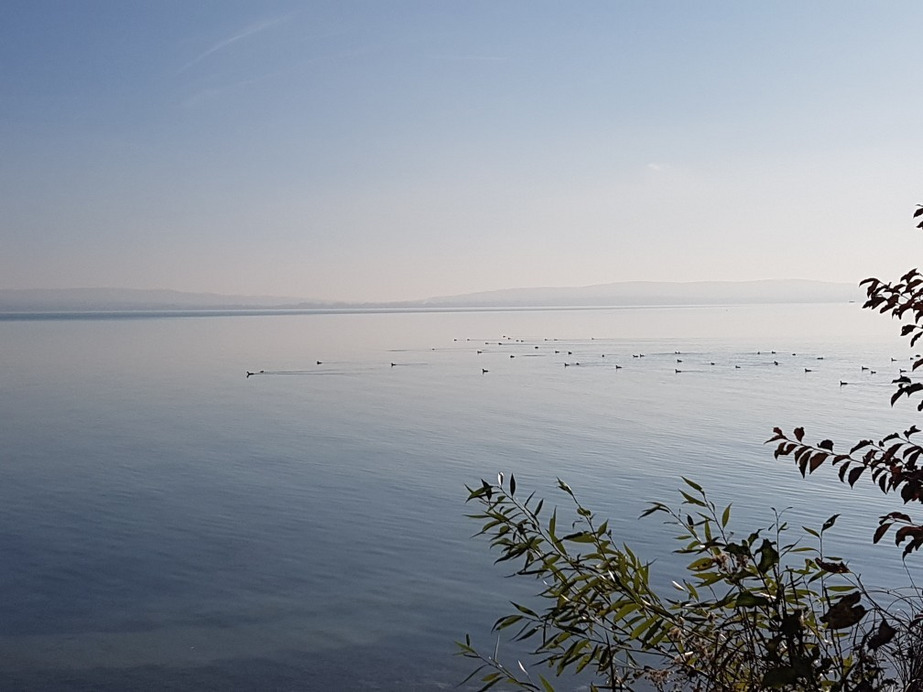 Balatonakali