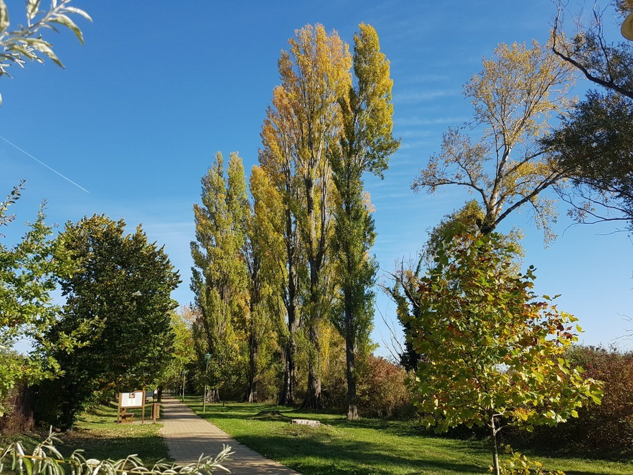 Balatonakali