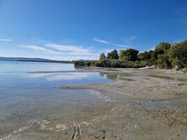 Balatonakali