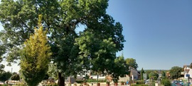 Balatonalmádi