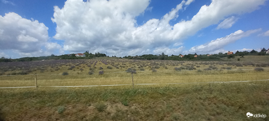 Tihany 