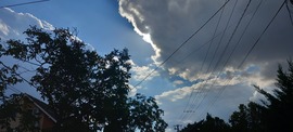 Cinkota 2026. 9. 25. 15:14
