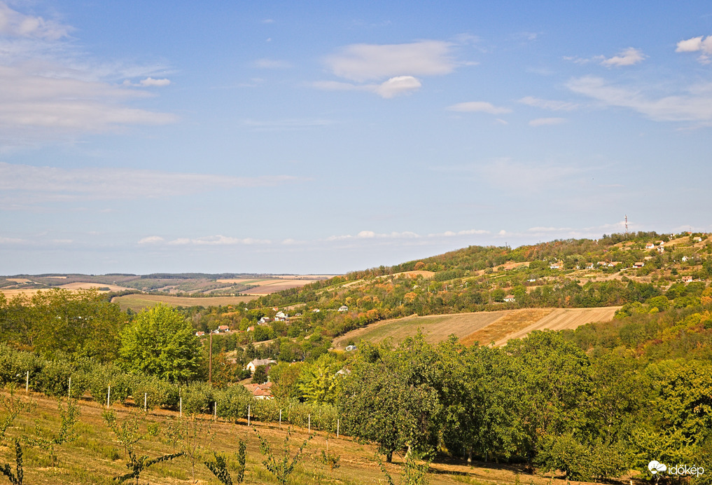 Tab, szőlőhegy
