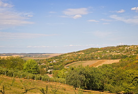 Tab, szőlőhegy