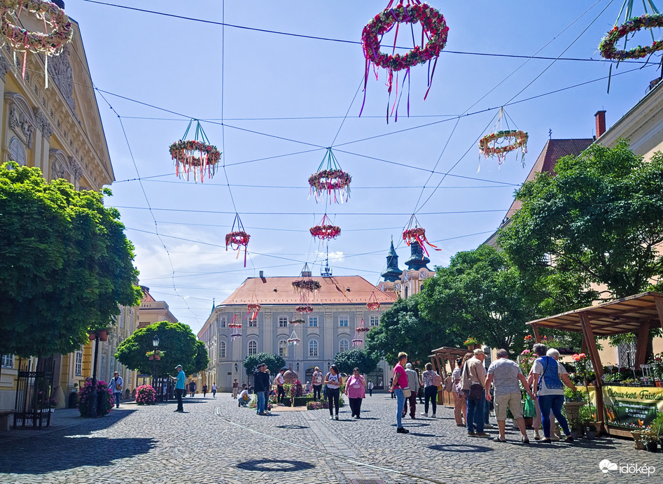 Pünkösdi virágálom