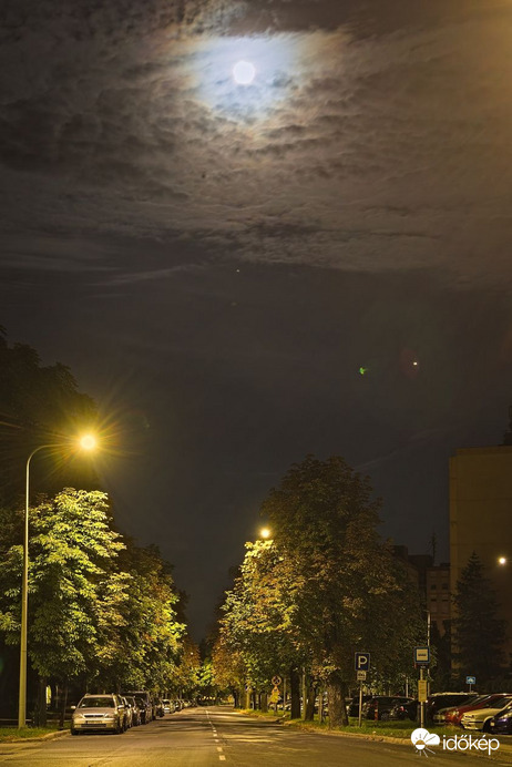 Hold a József Attila u. felett