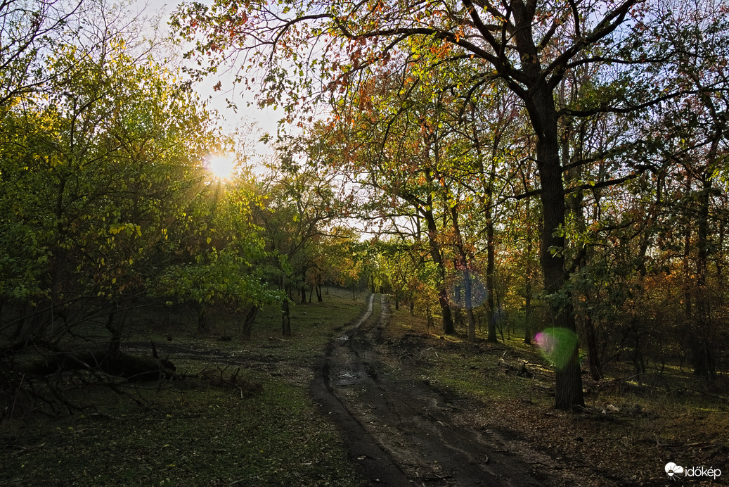 Napösvény