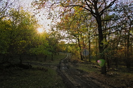 Napösvény