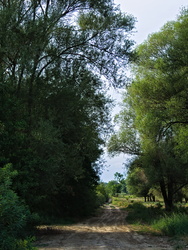 Somogyi nyárvég