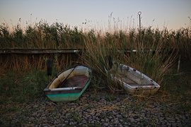 Szúnyog-sziget, Velencei-tó