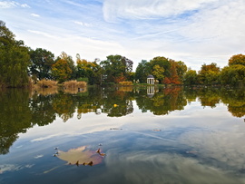 Ősz a parkban