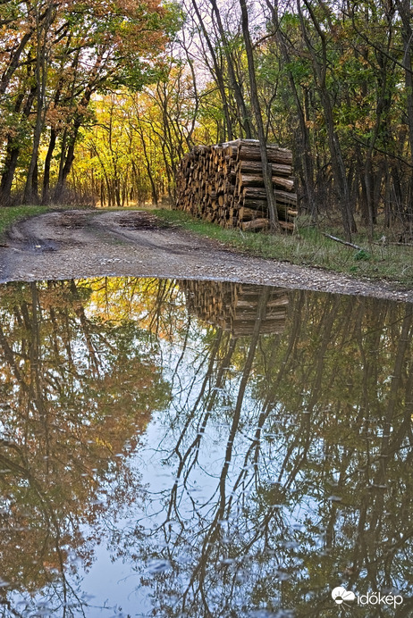 Fejér megyei pocsolyás