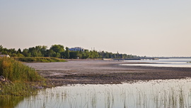 Kiszáradó