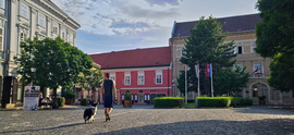 Fehérvári délután