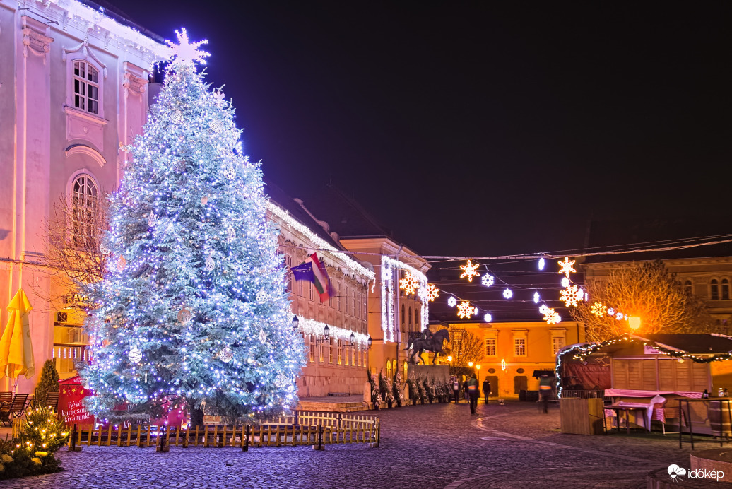 Fehérvári karácsonyfa 2021