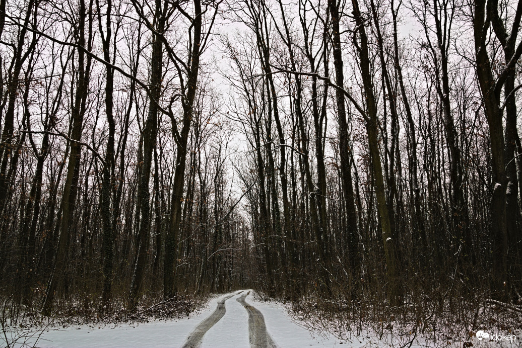 Télen néha van hó is