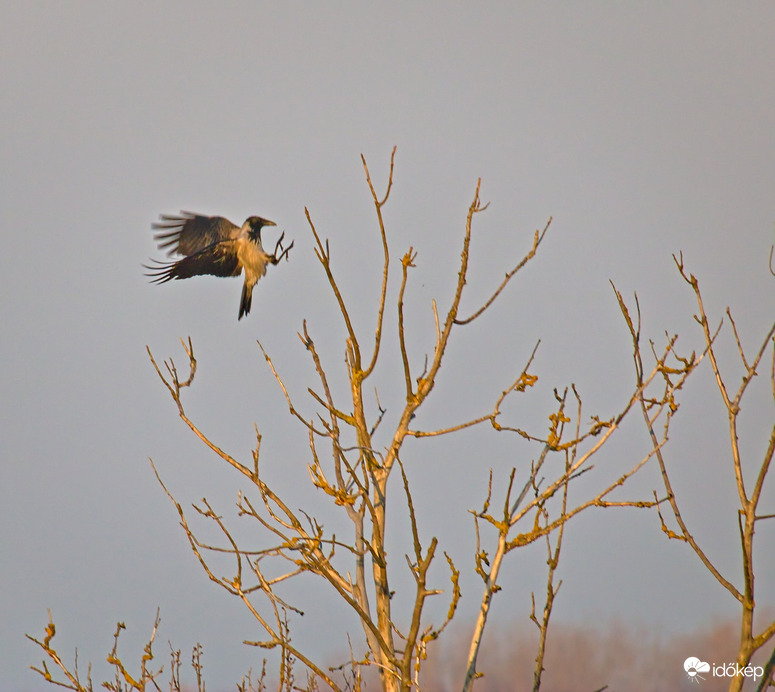 Leszállás derült időben