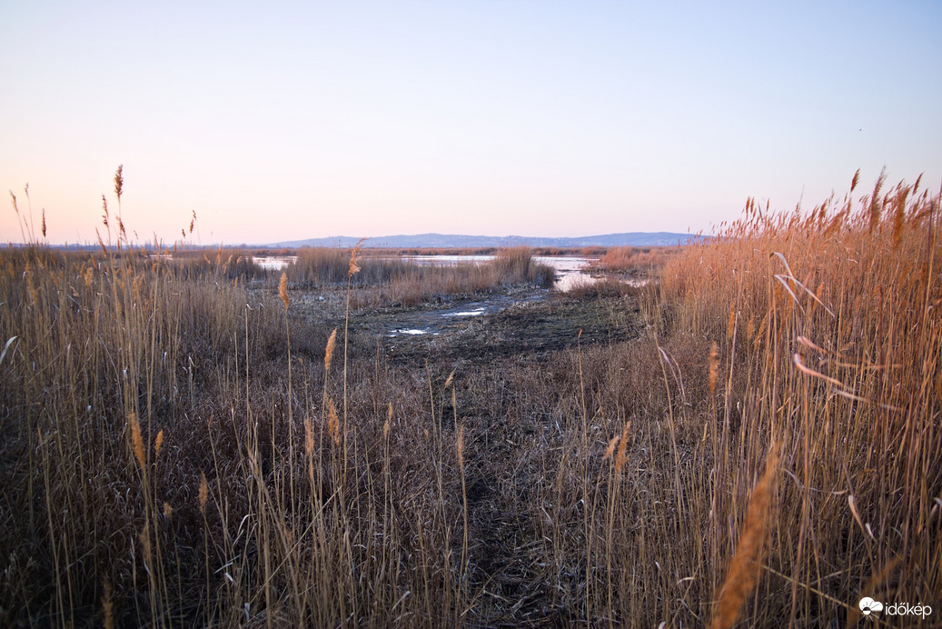 Velencei-tó vízállás