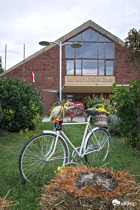 Őszi pillanatok Tabon