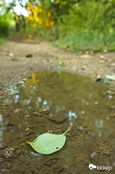 Eső után