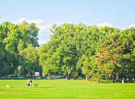 Délután a parkban