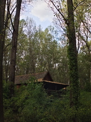Elhagyott