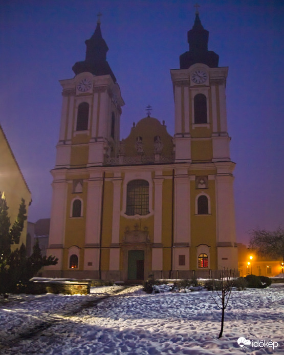 Fehérvári ködöspárás