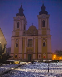 Fehérvári ködöspárás