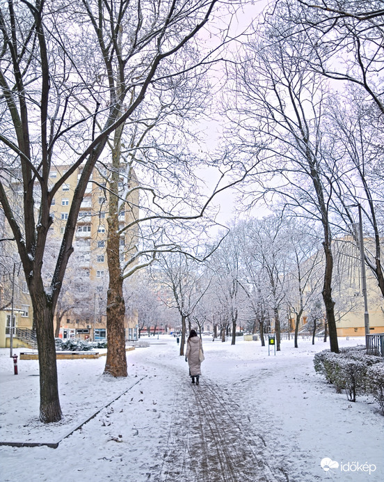 Székesfehérvári lepel