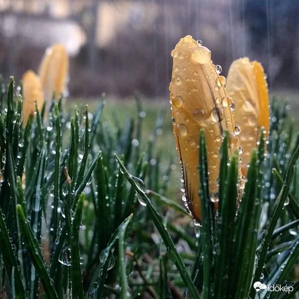 Csapadékos hétvége