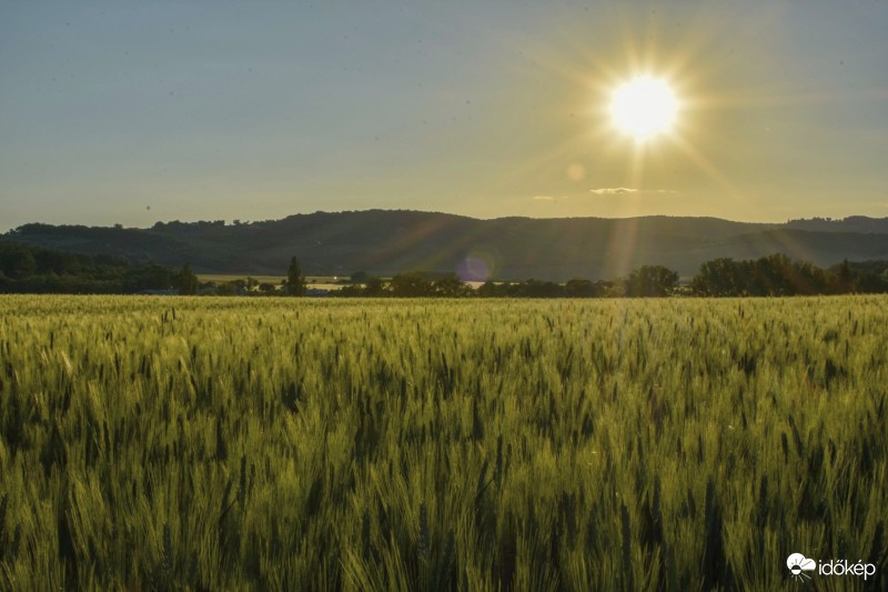 Napnyugta a Balaton felvidéken