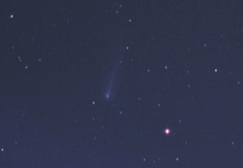 220P/Mcnaught 