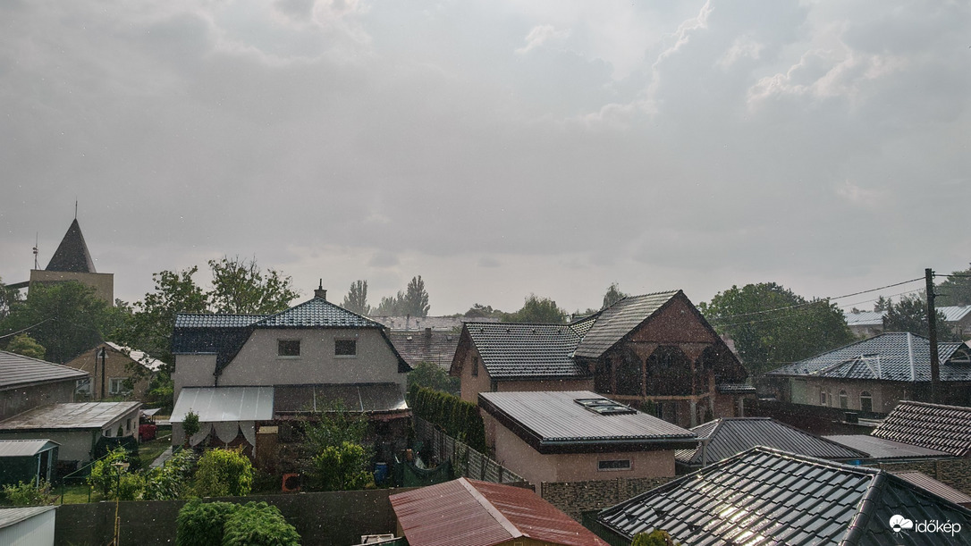 Tiszacsernyő