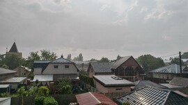 Tiszacsernyő