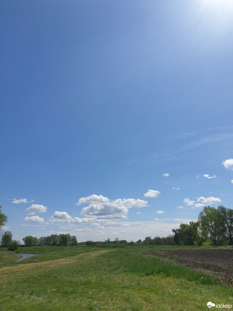 Okány
