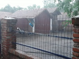 Okány