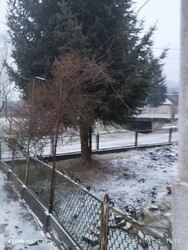 Arló