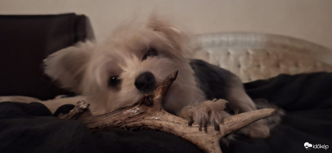 Benti örömök télen