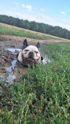 Várom a tavaszt hihi