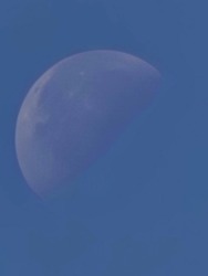 csakmarcsika1973 fotója