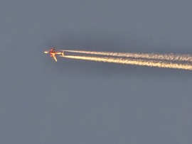 csakmarcsika1973 fotója