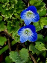 csakmarcsika1973 fotója