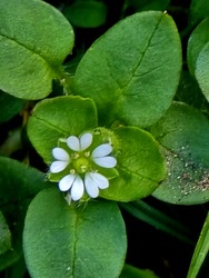 csakmarcsika1973 fotója